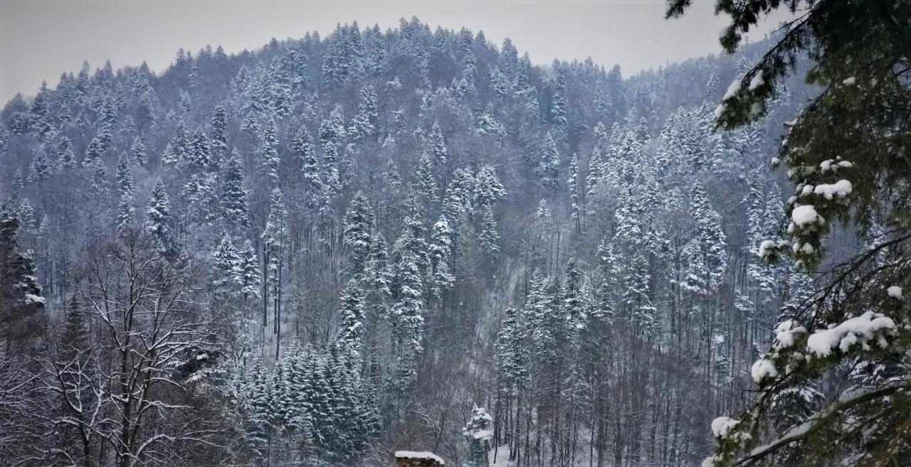 Apartament Greenstar Sinaia Exterior photo